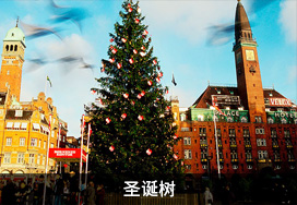 廣東蒙泰高新纖維股份有限公司，蒙泰紡織，蒙泰絲，丙綸異形絲，丙綸FDY網(wǎng)絡(luò)絲，丙綸FDY倍捻絲，差別化丙綸纖維絲，丙綸DTY絲，丙綸細(xì)旦絲，超細(xì)旦丙綸絲，丙綸網(wǎng)絡(luò)絲，丙綸異形絲，丙綸中空絲，高強(qiáng)丙綸倍捻絲，丙綸倍捻絲，蒙泰丙綸DTY絲，廣東蒙泰